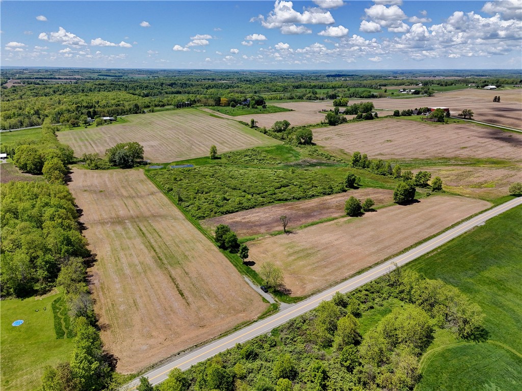 Wesley, West Bloomfield, New York image 6