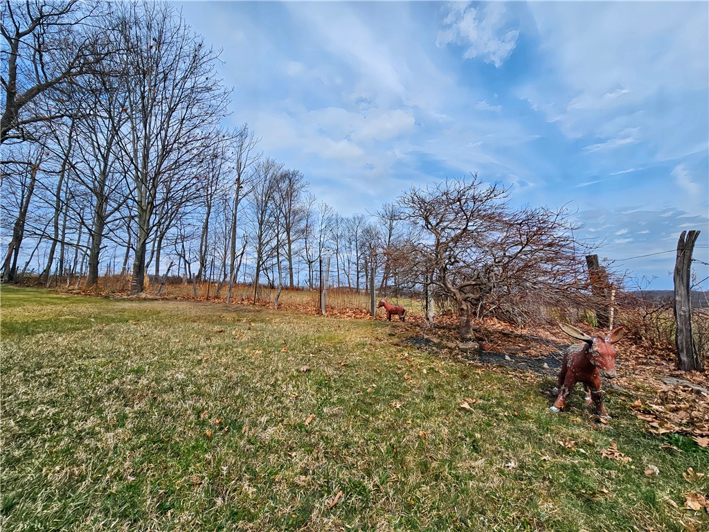 2238 County Route 102, Woodhull, New York image 9