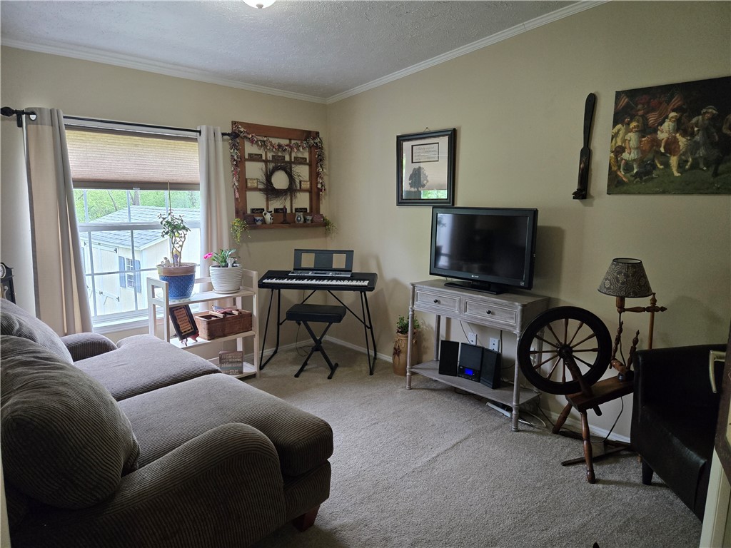 3452 Thorpe Drive #53, Geneseo, New York image 15