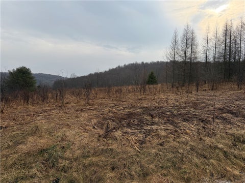 Vacant Land For Sale - County Highway 16<br/> Burlington, NY 13315