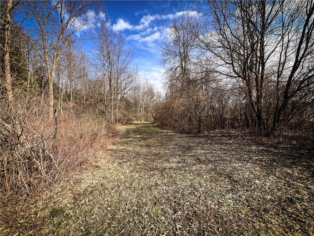 270 East Road, Oswegatchie, New York image 23