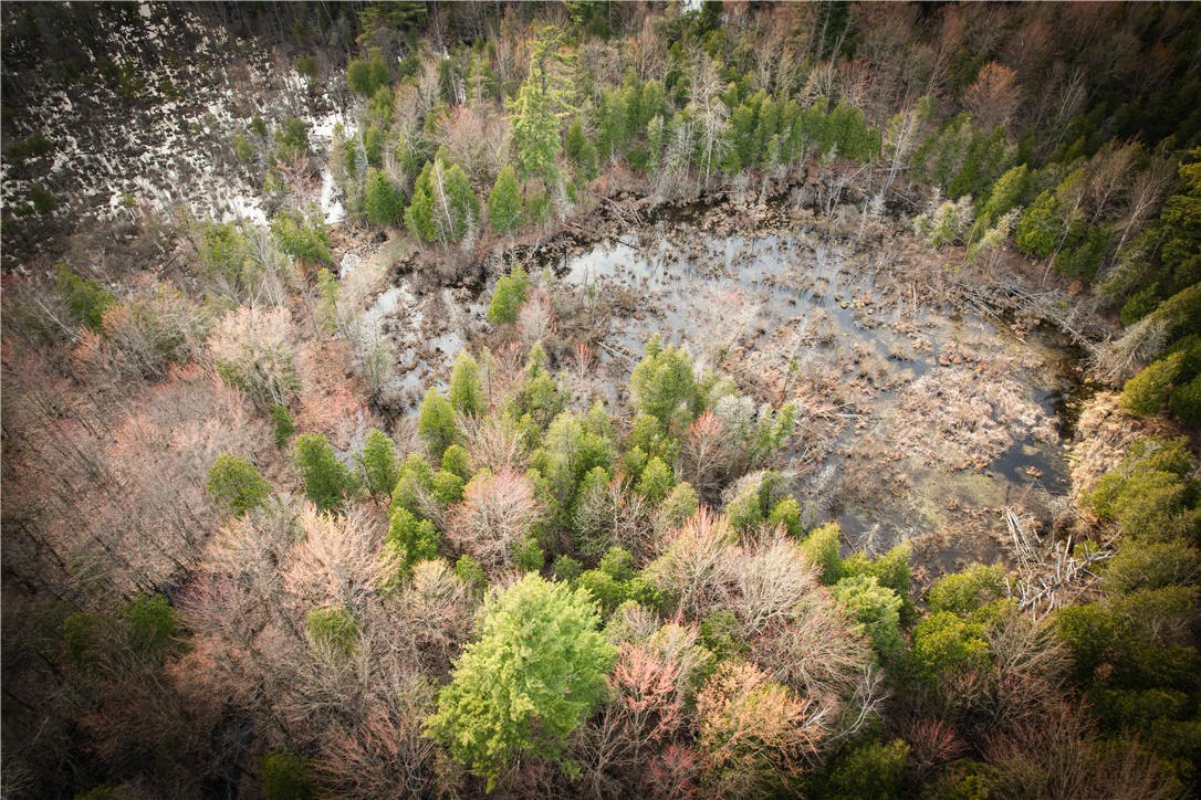 270 East Road, Oswegatchie, New York image 39