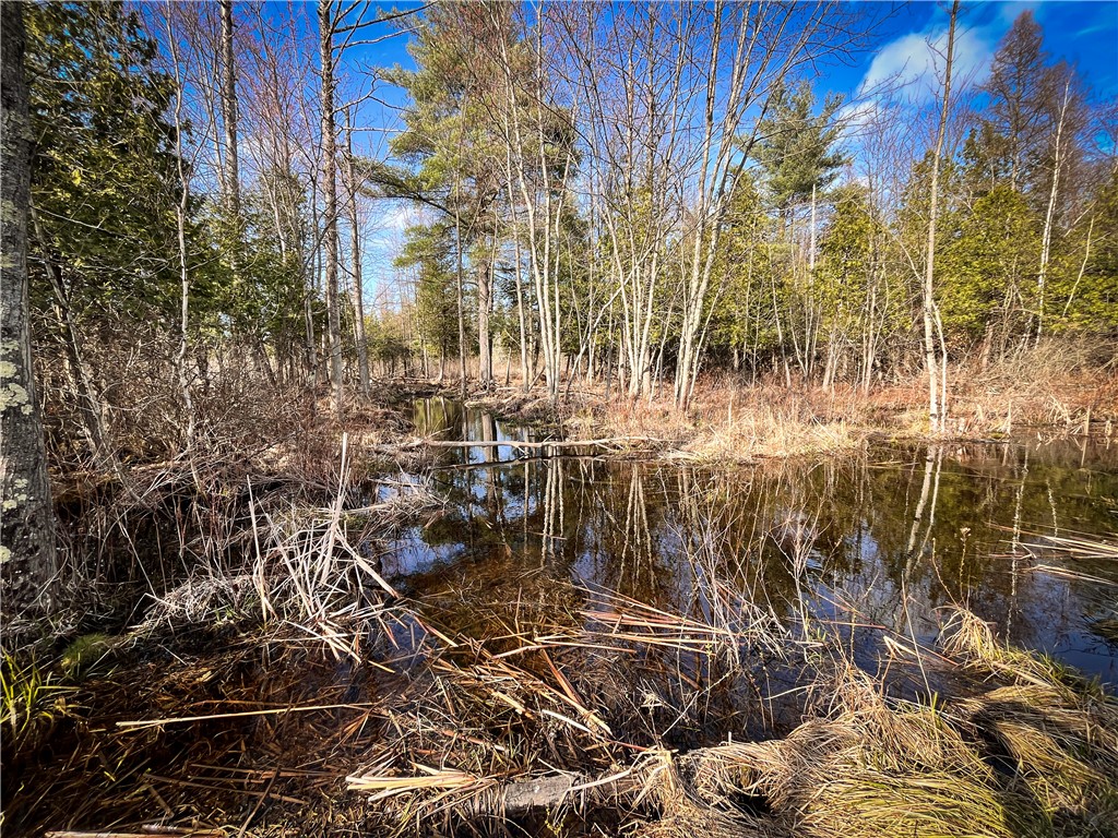270 East Road, Oswegatchie, New York image 36