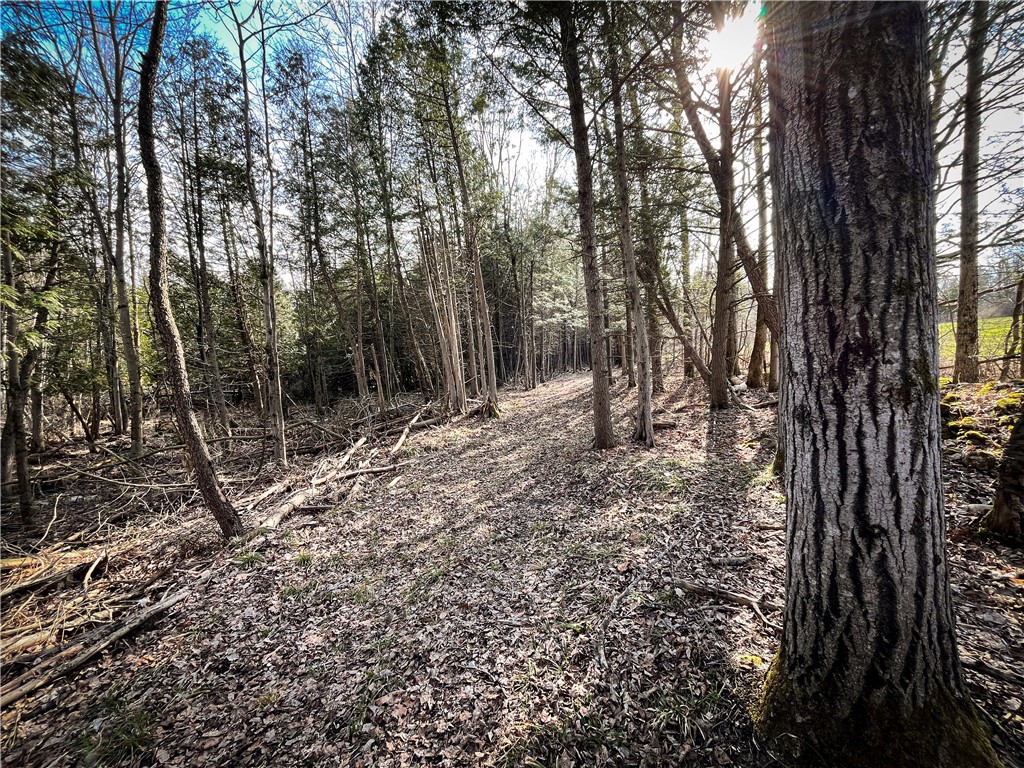 270 East Road, Oswegatchie, New York image 31