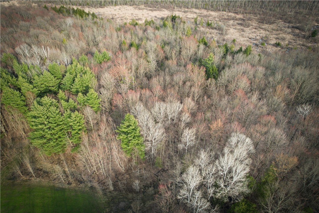270 East Road, Oswegatchie, New York image 42