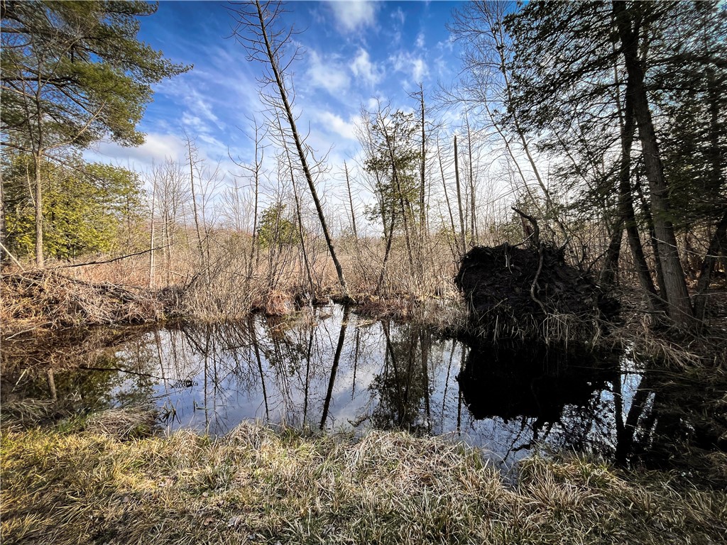 270 East Road, Oswegatchie, New York image 32