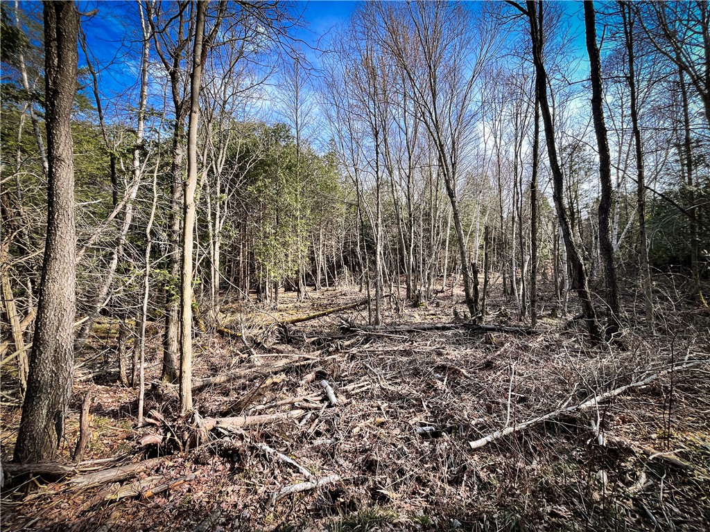 270 East Road, Oswegatchie, New York image 30