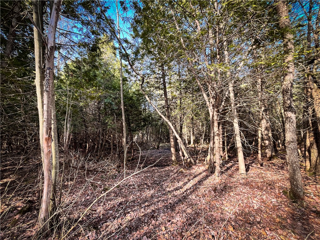 270 East Road, Oswegatchie, New York image 29