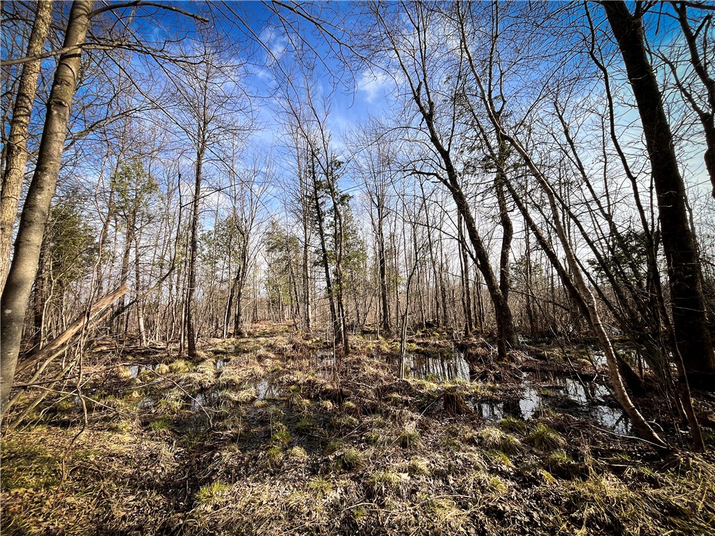 270 East Road, Oswegatchie, New York image 44