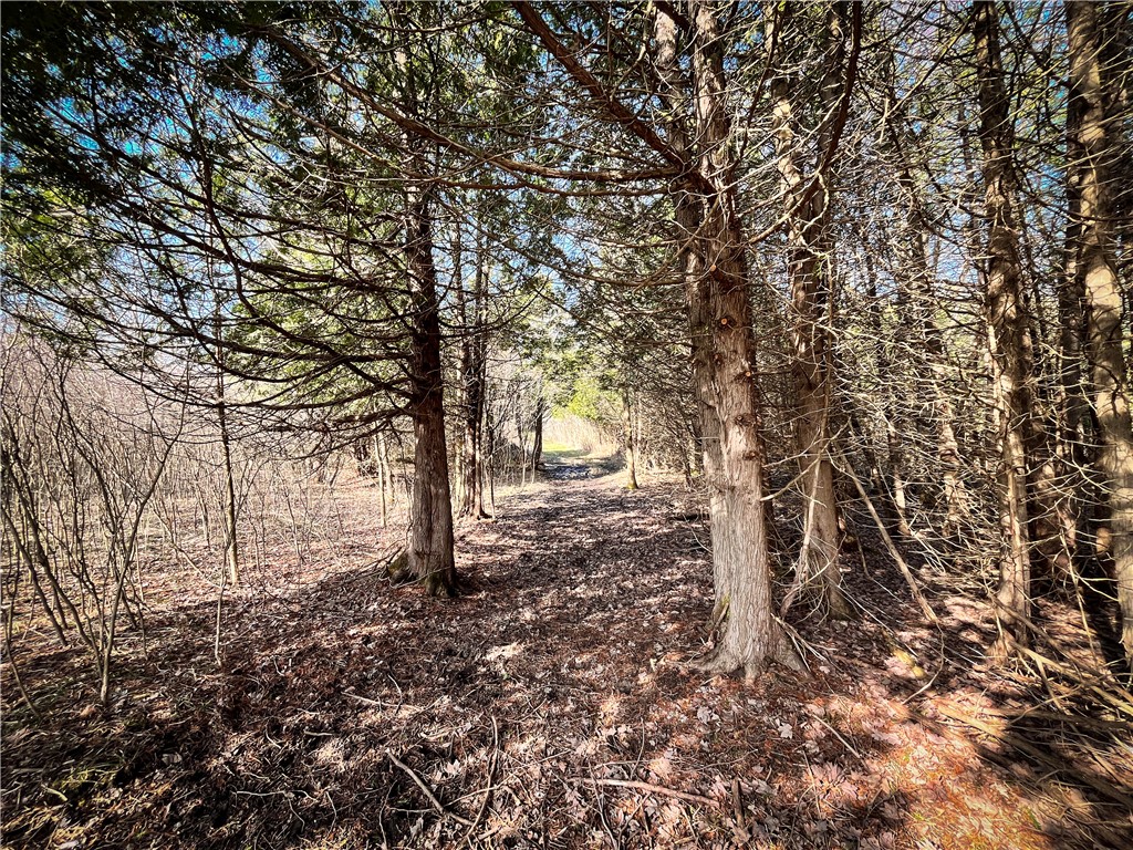 270 East Road, Oswegatchie, New York image 28