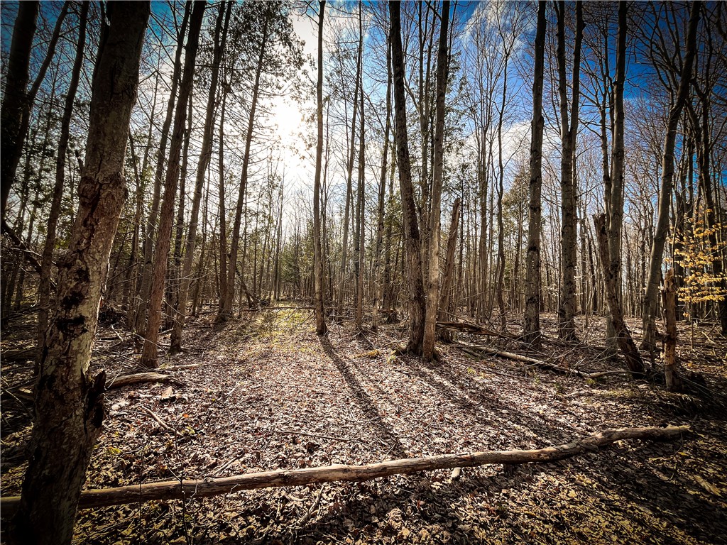 270 East Road, Oswegatchie, New York image 43