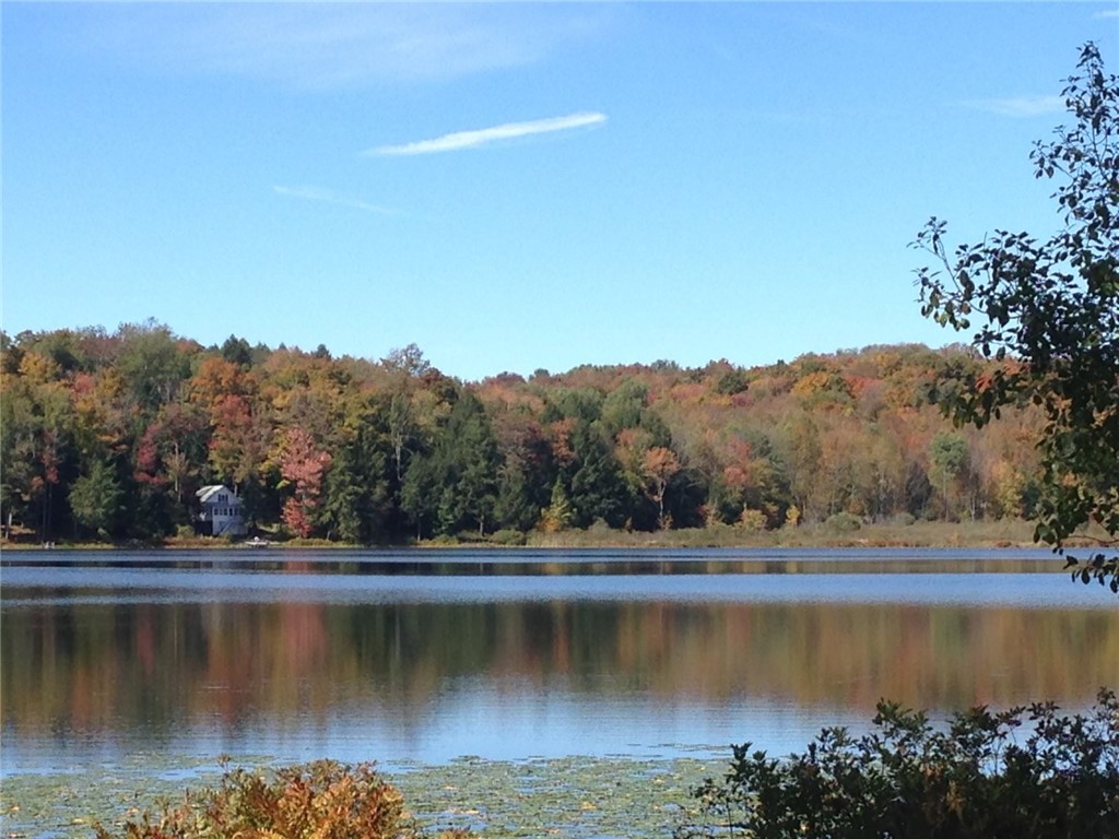 150 Lakeside Drive, Edmeston, New York image 2