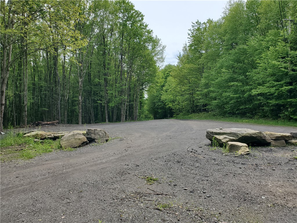 500 Valley View Road, Walton, New York image 36