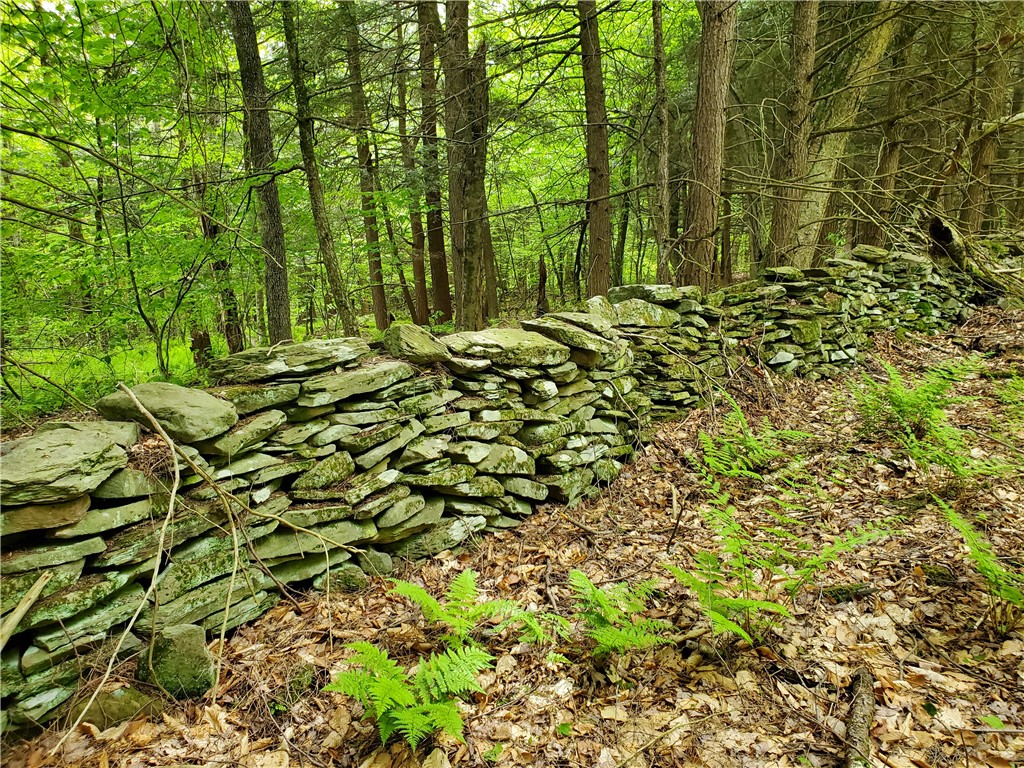 500 Valley View Road, Walton, New York image 42