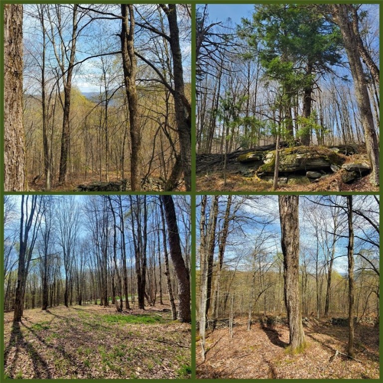 500 Valley View Road, Walton, New York image 43
