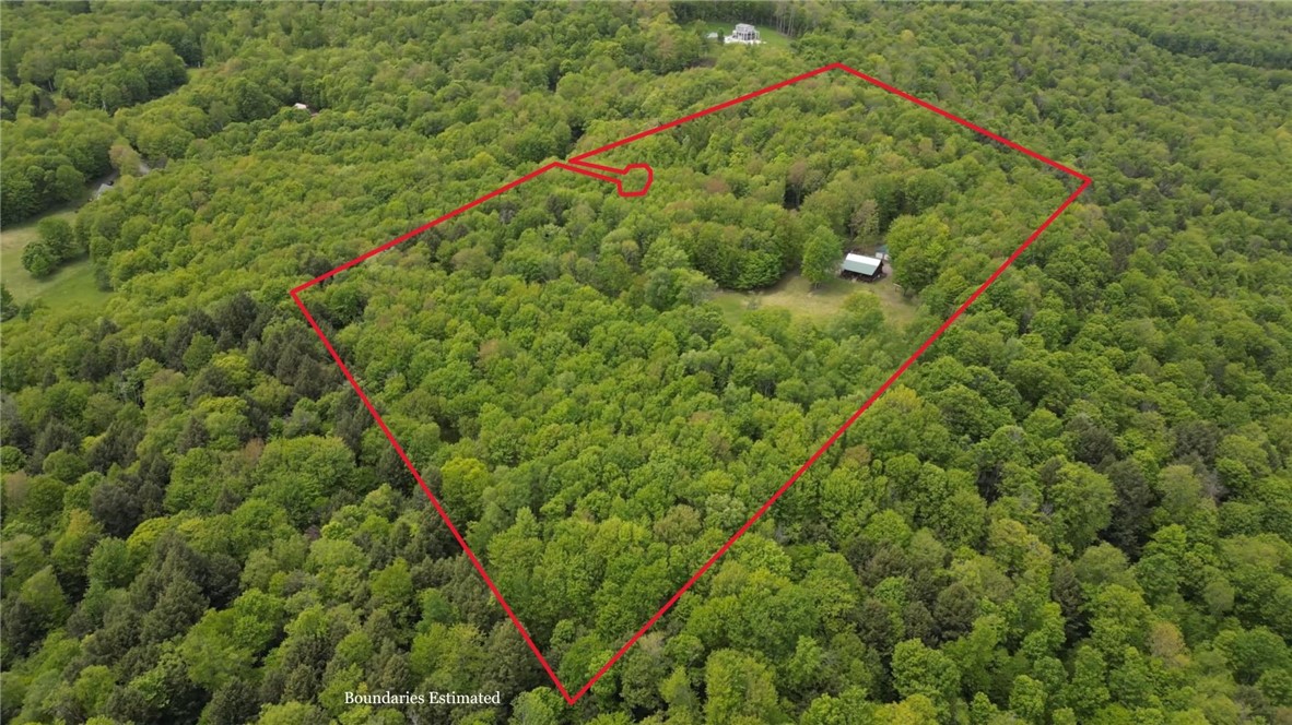 500 Valley View Road, Walton, New York image 6