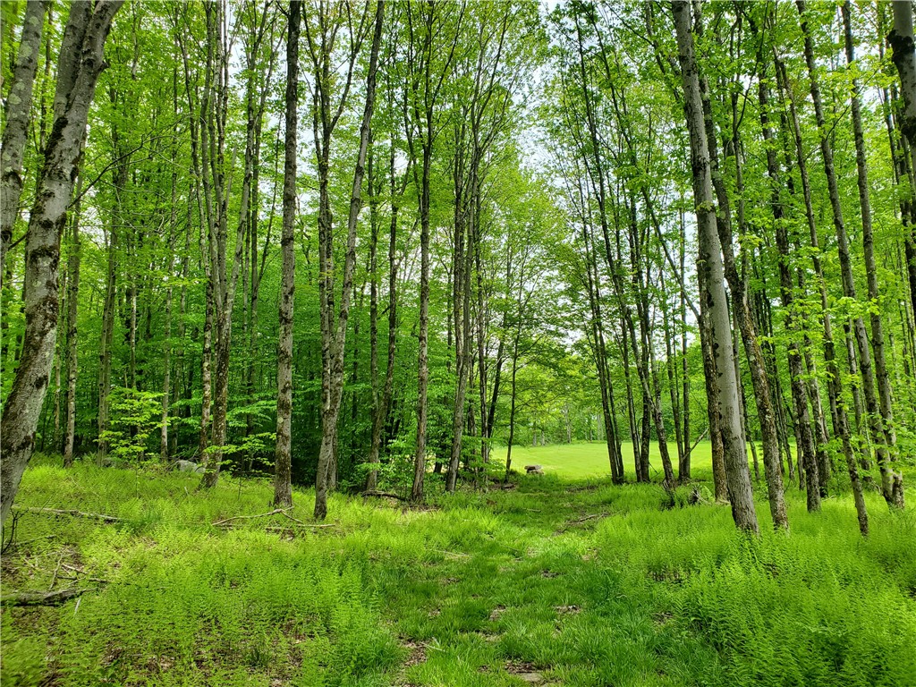500 Valley View Road, Walton, New York image 40