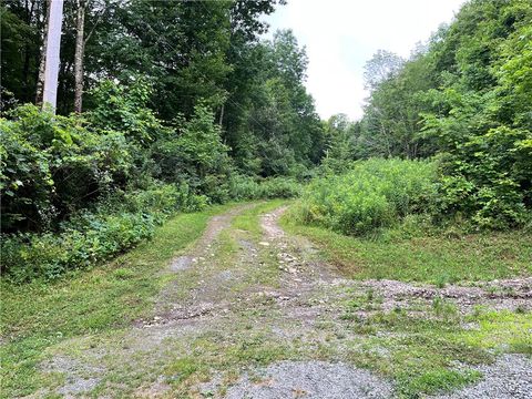Vacant Land For Sale - Marvin Hollow Road<br/> Delaware County, Walton, NY 13856
