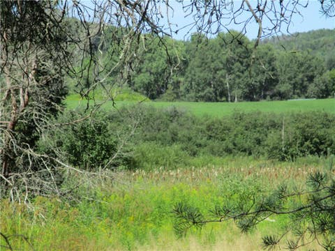 Photo of Lot 1 State Route 80, Smyrna, NY 13464 (MLS # R1709281)