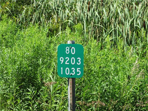 Tiny photo for Lot 1 State Route 80, Smyrna, NY 13464 (MLS # R1709281)