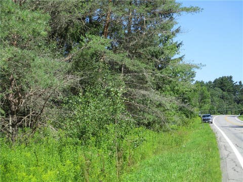 Tiny photo for Lot 1 State Route 80, Smyrna, NY 13464 (MLS # R1709281)