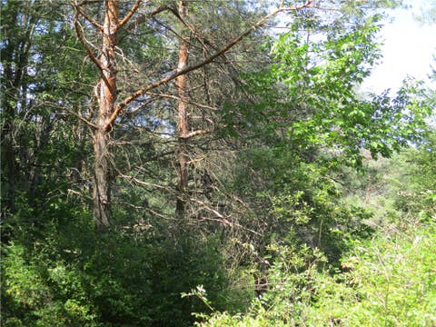 Tiny photo for Lot 1 State Route 80, Smyrna, NY 13464 (MLS # R1709281)