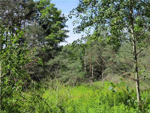 Tiny photo for Lot 1 State Route 80, Smyrna, NY 13464 (MLS # R1709281)