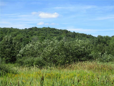Tiny photo for Lot 1 State Route 80, Smyrna, NY 13464 (MLS # R1709281)