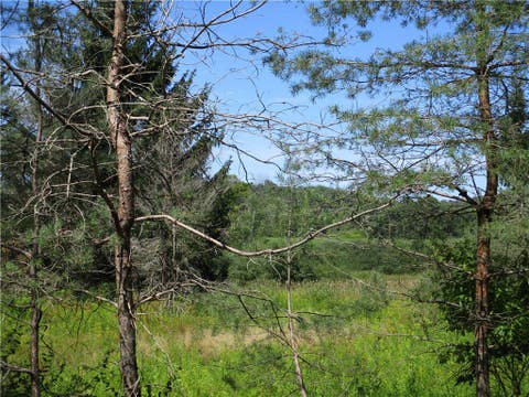 Tiny photo for Lot 1 State Route 80, Smyrna, NY 13464 (MLS # R1709281)