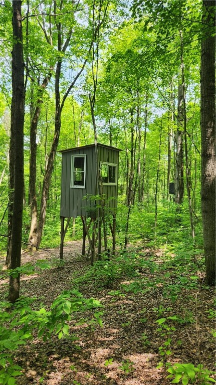 8306 Pardee Hollow Road Rd, Springwater, New York image 29