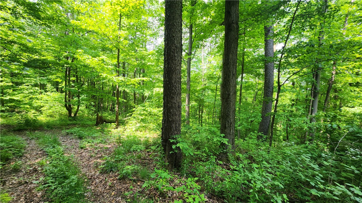 8306 Pardee Hollow Road Rd, Springwater, New York image 24