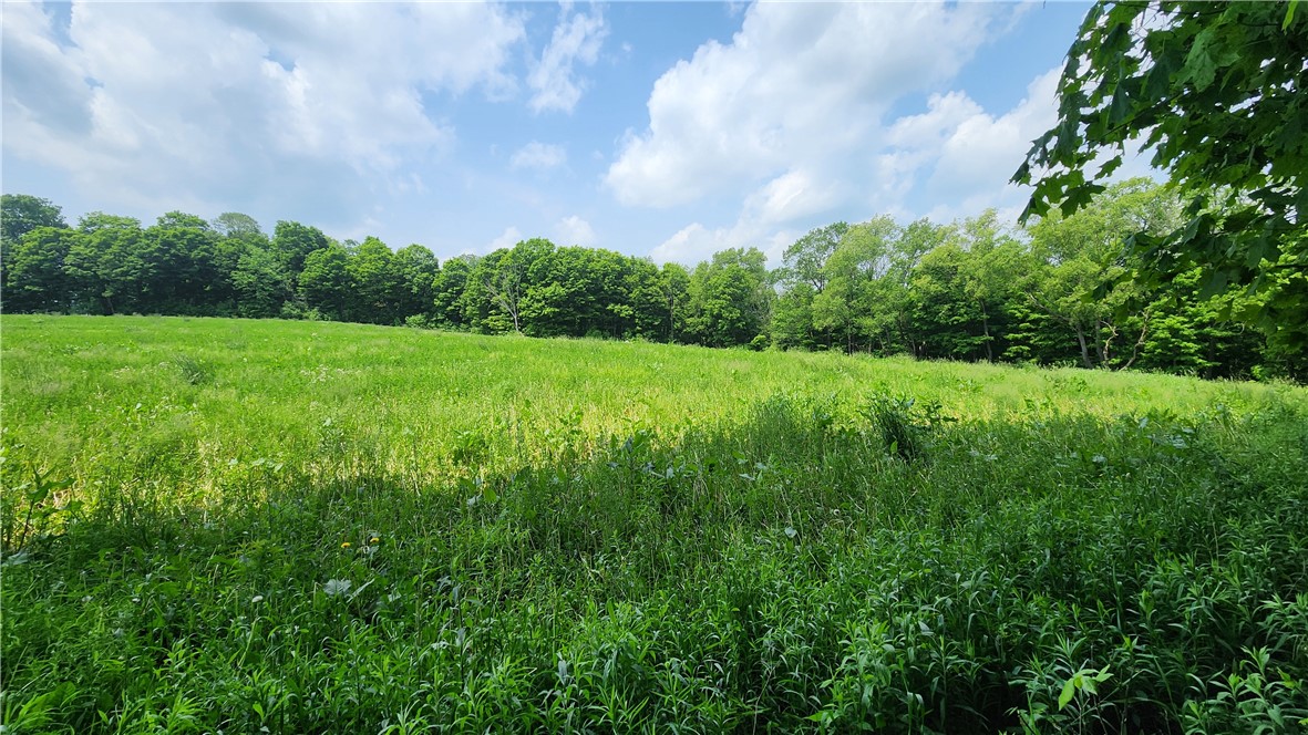 8306 Pardee Hollow Road Rd, Springwater, New York image 22