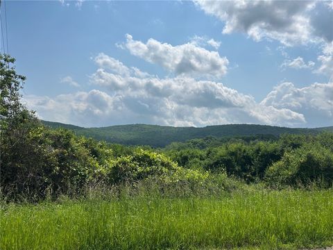 Vacant Land For Sale - Clark Rd Extension<br/> Allegany County, Almond, NY 14803