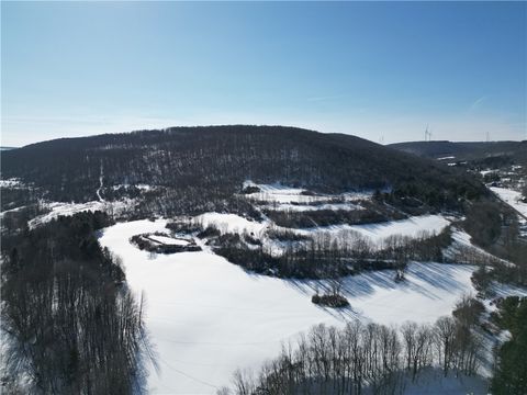 Photo of County Route 60, Greenwood, NY 14839 (MLS # R1660400)