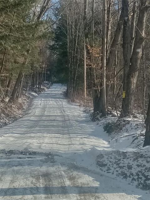 Vacant Land For Sale - Burdick Hill Road<br/> Otego, NY 13825