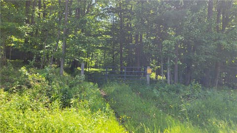Photo for 0 Nunda-Byersville Road