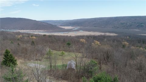 Vacant Land For Sale - 7475 County Road 12<br/> Ontario County, Naples, NY 14512