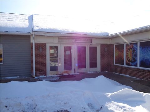 Photo of 295 S Hamilton Street, Erwin, NY 14870 (MLS # R1661156)