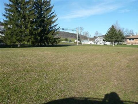 Vacant Land For Sale - 16 Diane Drive<br/> Otego, NY 13825