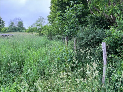 Tiny photo for 326 Park Hill Road, Erin, NY 14838 (MLS # R1726037)