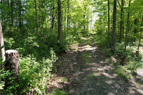 Tiny photo for 326 Park Hill Road, Erin, NY 14838 (MLS # R1726037)