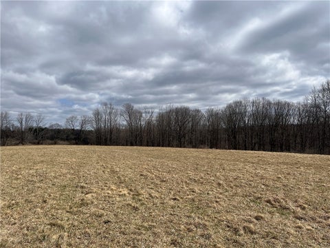 Tiny photo for 326 Park Hill Road, Erin, NY 14838 (MLS # R1726037)