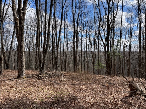 Tiny photo for 326 Park Hill Road, Erin, NY 14838 (MLS # R1726037)