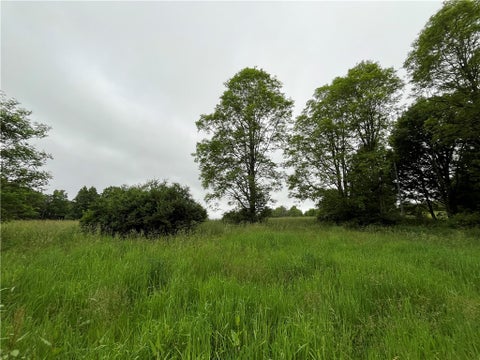 Tiny photo for 326 Park Hill Road, Erin, NY 14838 (MLS # R1726037)