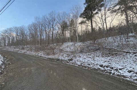 Vacant Land For Sale - Obrien Road<br/> Steuben County, Bath, NY 14879