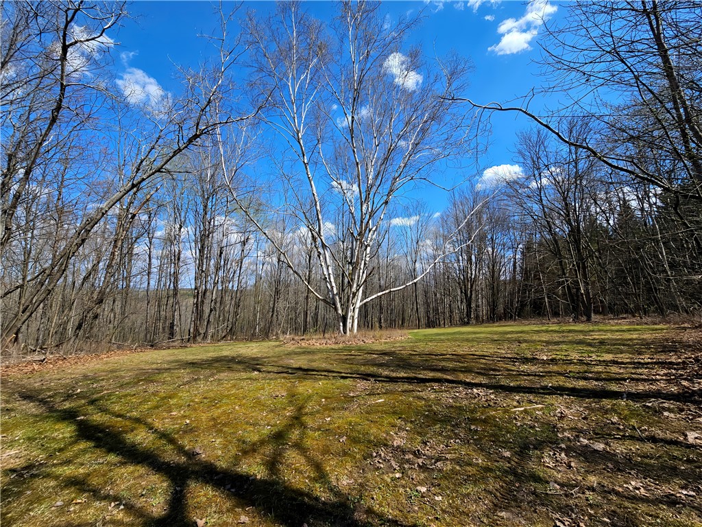 4713 Blueberry Hl, Woodhull, New York image 21