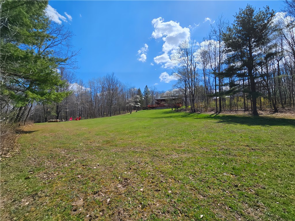 4713 Blueberry Hl, Woodhull, New York image 22