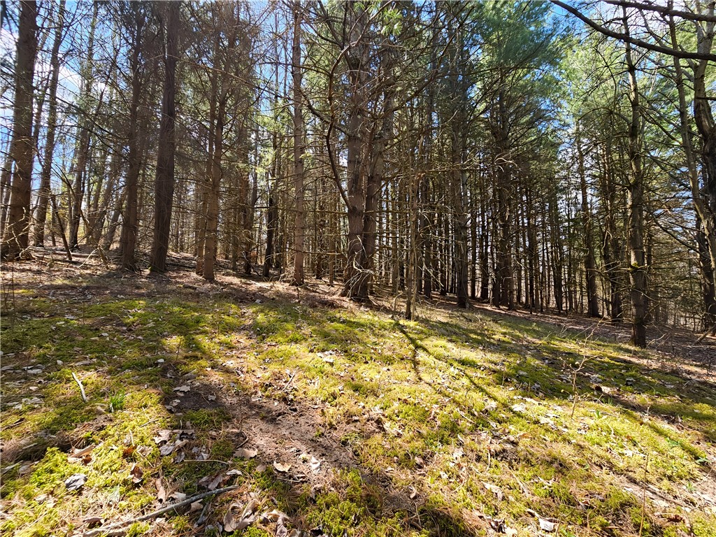 4713 Blueberry Hl, Woodhull, New York image 23