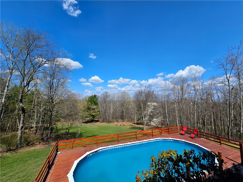 4713 Blueberry Hl, Woodhull, New York image 18
