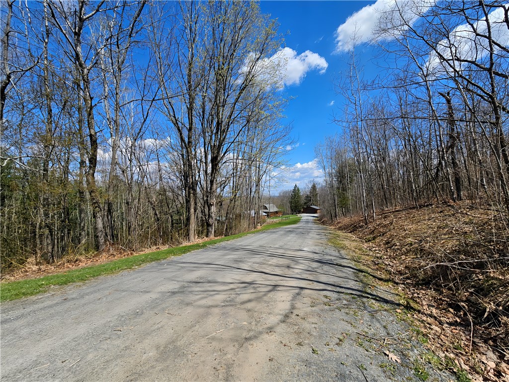 4713 Blueberry Hl, Woodhull, New York image 24